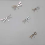 Casa Libelula Blanca